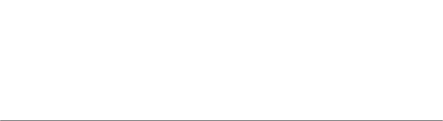 schumann companies logo white